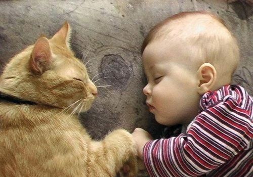 human-animal-friendship-2.jpg