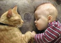 human-animal-friendship-2.jpg